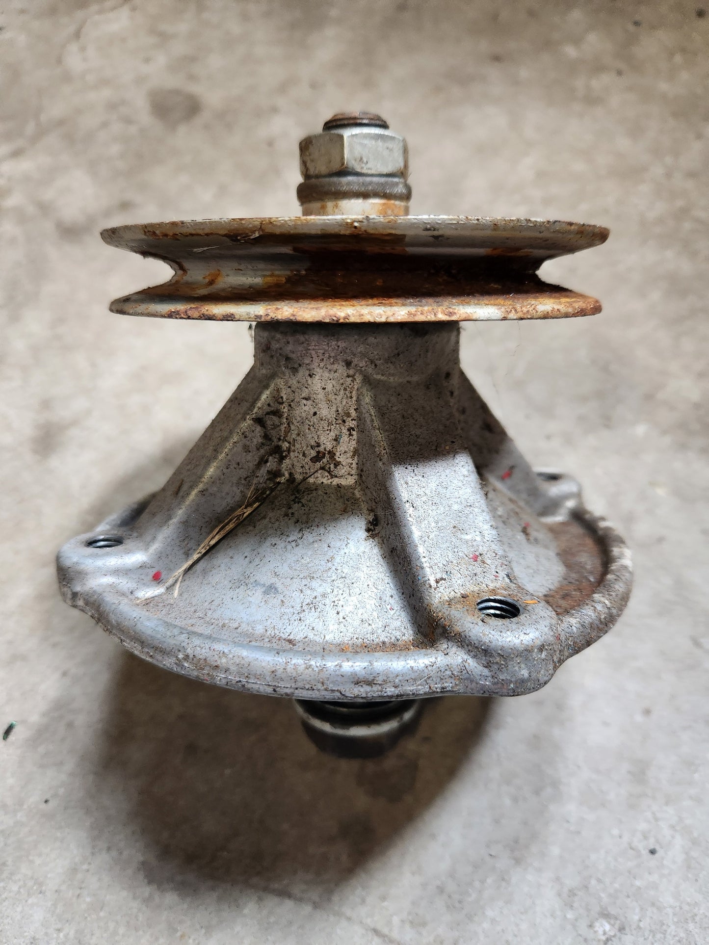 image_3
