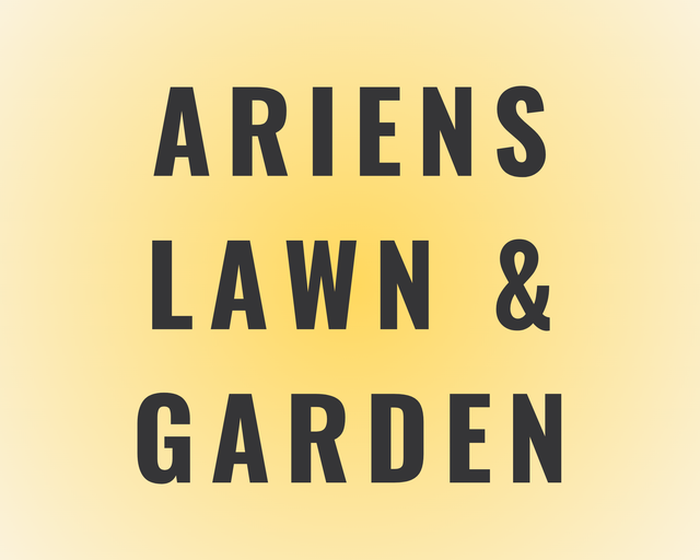 Ariens Lawn & Garden