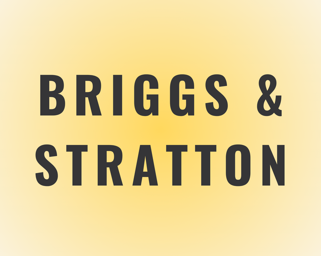 Briggs & Stratton