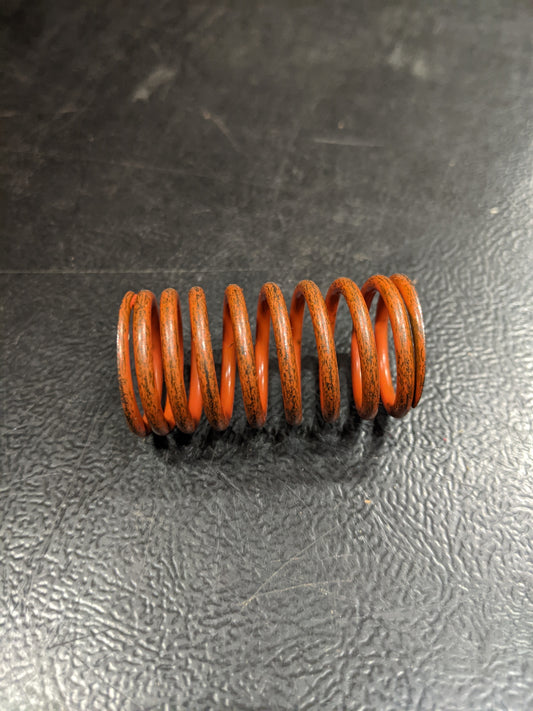 Kohler NOS 230010 Valve Spring