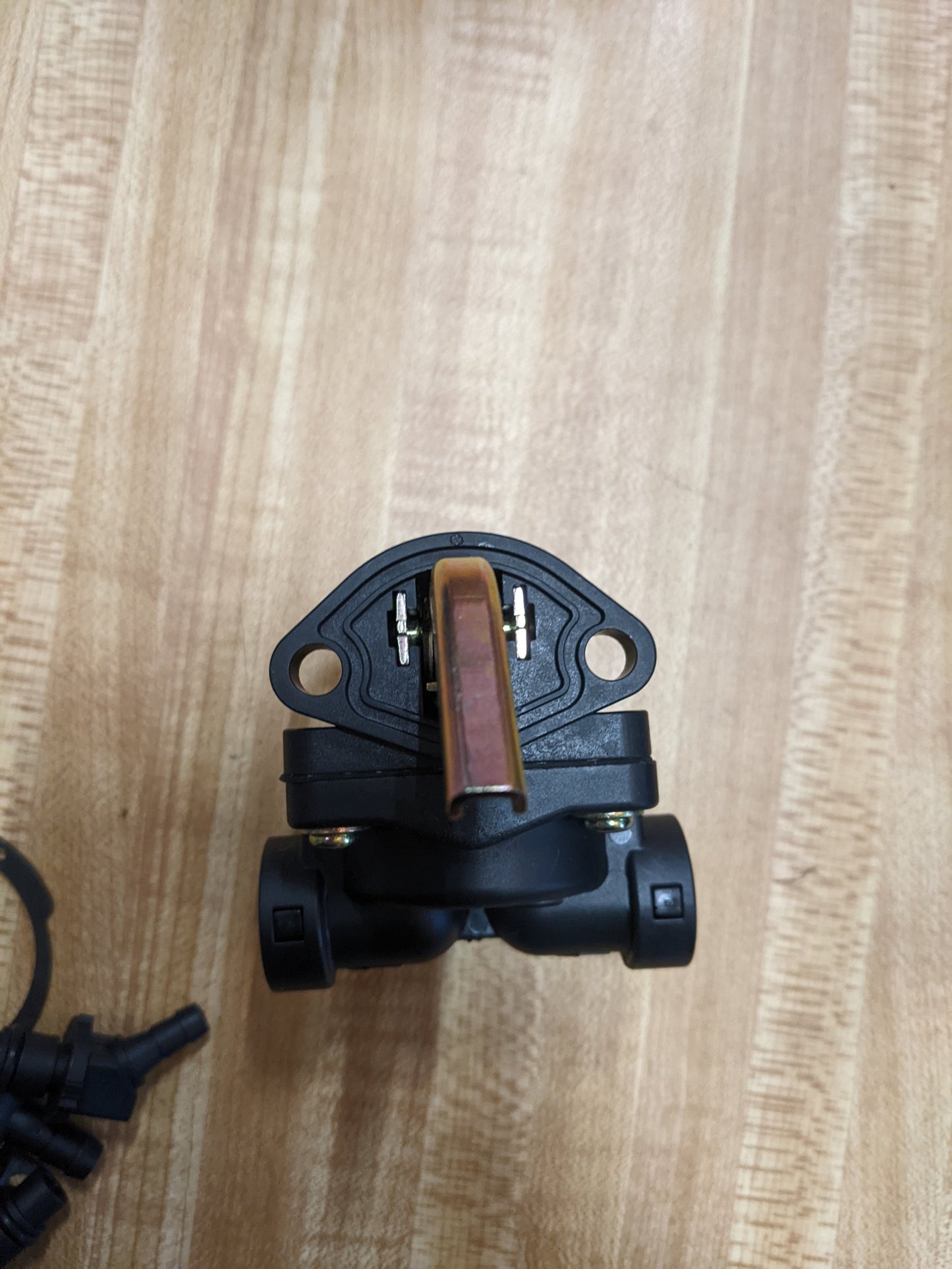image_4
